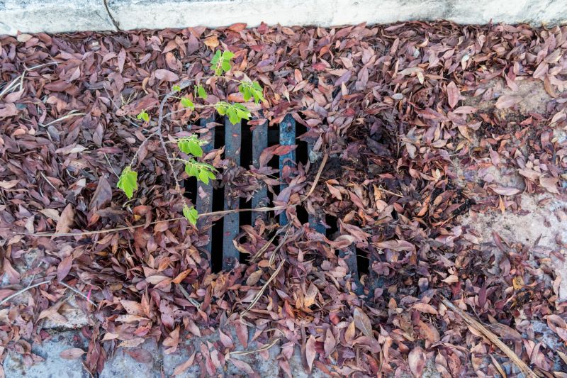 Yard Drain Repair