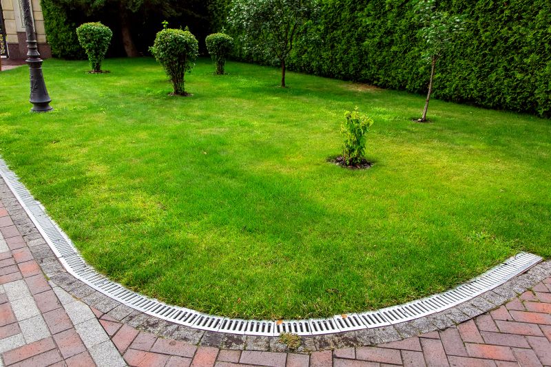 Wet Yard Drainage in Birmingham, AL